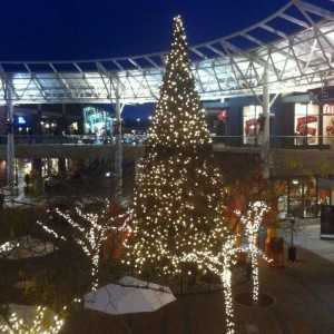クリスマスツリー@Redmond Town Center